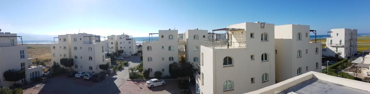 Aphrodite Beachfront Penthouse Apartment Ghaziveran 외부 사진