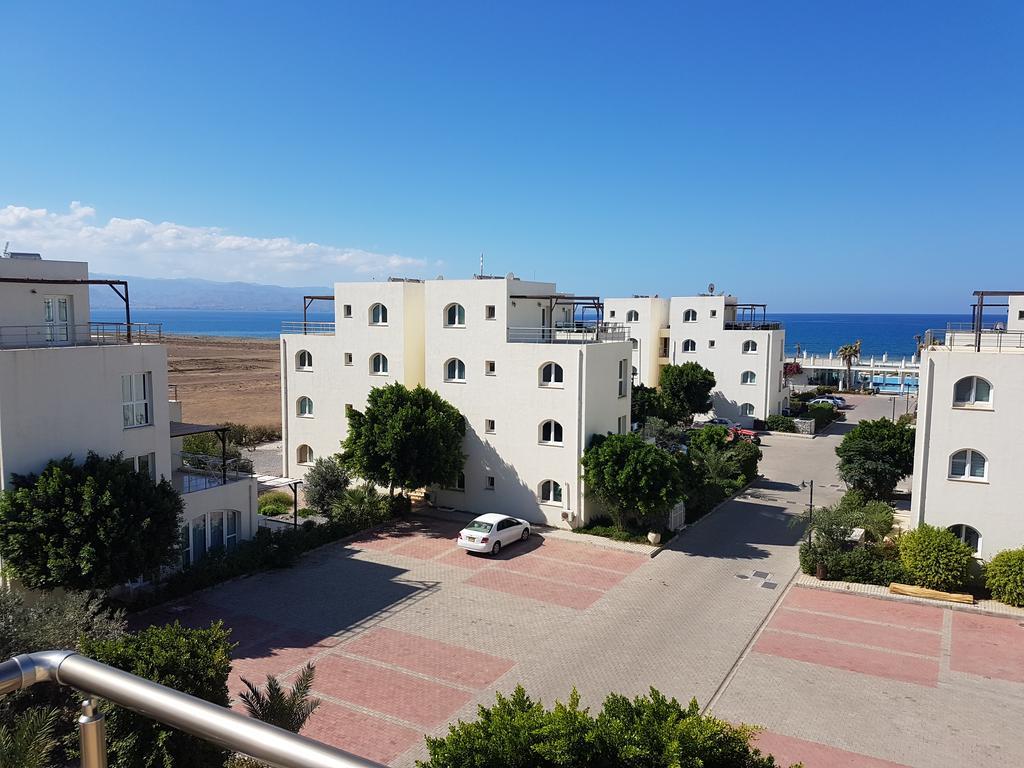 Aphrodite Beachfront Penthouse Apartment Ghaziveran 외부 사진