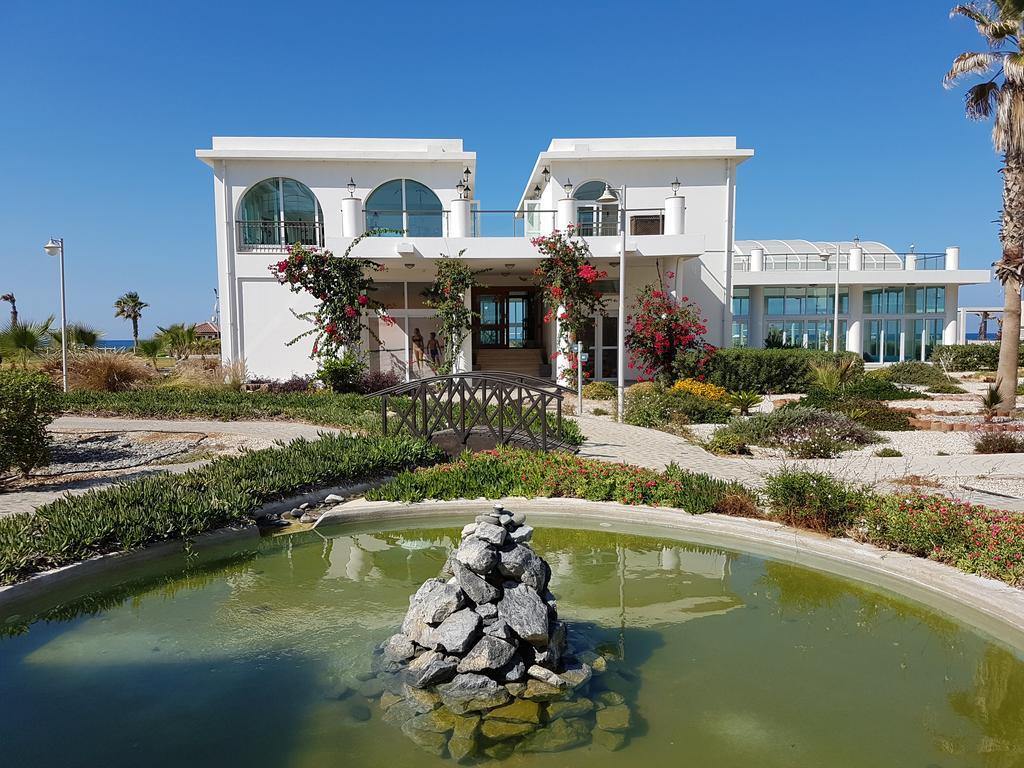 Aphrodite Beachfront Penthouse Apartment Ghaziveran 외부 사진