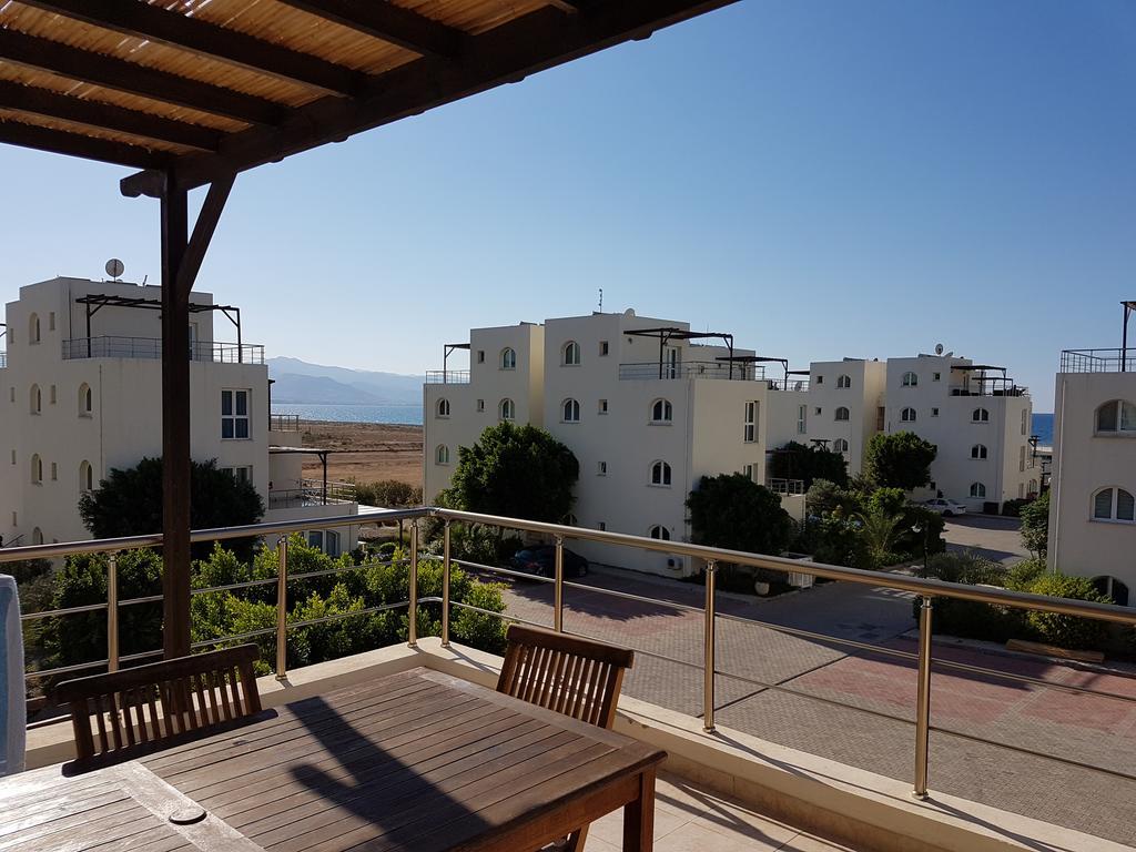 Aphrodite Beachfront Penthouse Apartment Ghaziveran 외부 사진