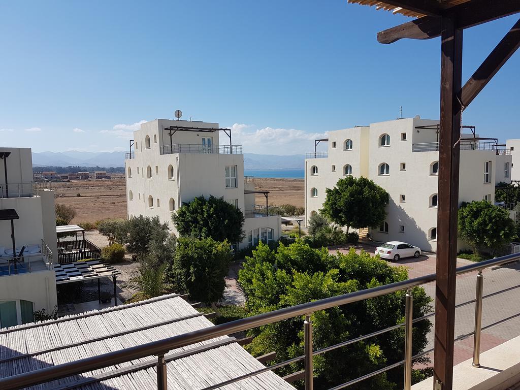 Aphrodite Beachfront Penthouse Apartment Ghaziveran 외부 사진
